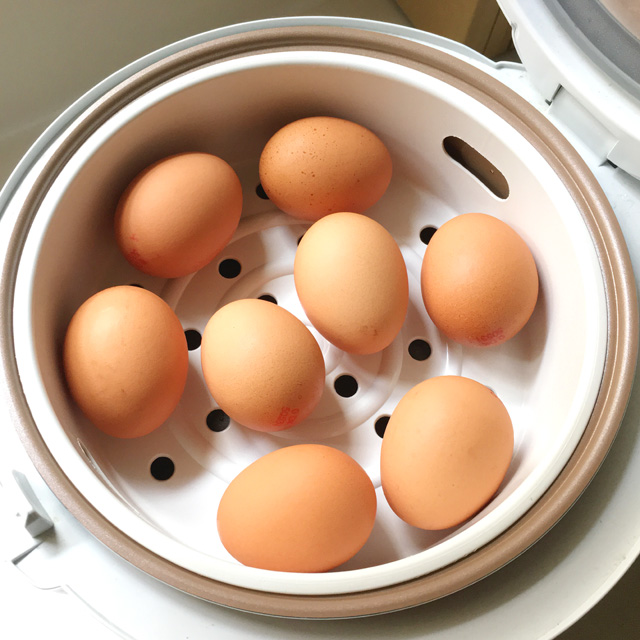 Using a Hard Boiled Egg Cooker - Easy Budget Recipes